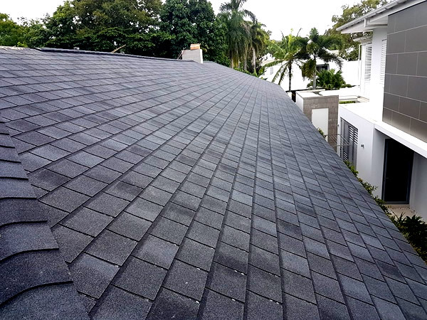 Gallery Image: Roof Mastar