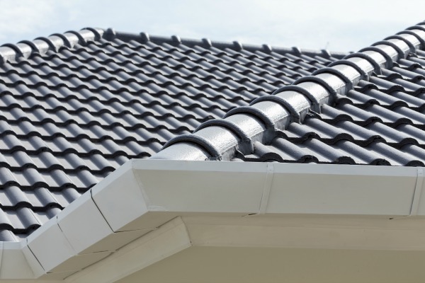 Gallery Image: Roof Mastar